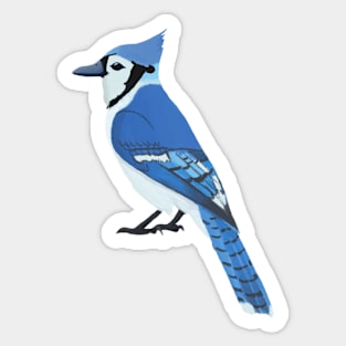 Blue Jay Sticker